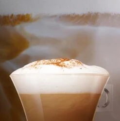 Nescafé Dolce Gusto Cappuccino Capsules - 90 Koffiecups 15 Nescafé Dolce Gusto Cappuccino Capsules - 90 Koffiecups -Koffiehuis 1190x1200 3