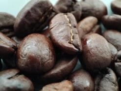 Voordeelpakket: Den Leeuw Lungo (80 Koffiecups) - Roast Koffiecups - Echte Hollandsche Koffie Van Den Leeuw In Nespresso Cups - Nespresso Compatibele Koffie Cups 12 Voordeelpakket: Den Leeuw Lungo (80 Koffiecups) - Roast Koffiecups - Echte Hollandsche Koffie Van Den Leeuw In Nespresso Cups - Nespresso Compatibele Koffie Cups -Koffiehuis 1200x900