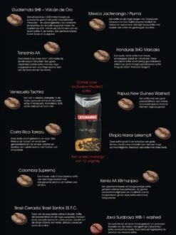 Catunambú Predilect Koffiebonen 1 Kilo - Premium Kwaliteit - Horecakoffie Voor Thuis - Ultiem Koffiegenot 9 Catunambú Predilect Koffiebonen 1 Kilo - Premium Kwaliteit - Horecakoffie Voor Thuis - Ultiem Koffiegenot -Koffiehuis 897x1200 1